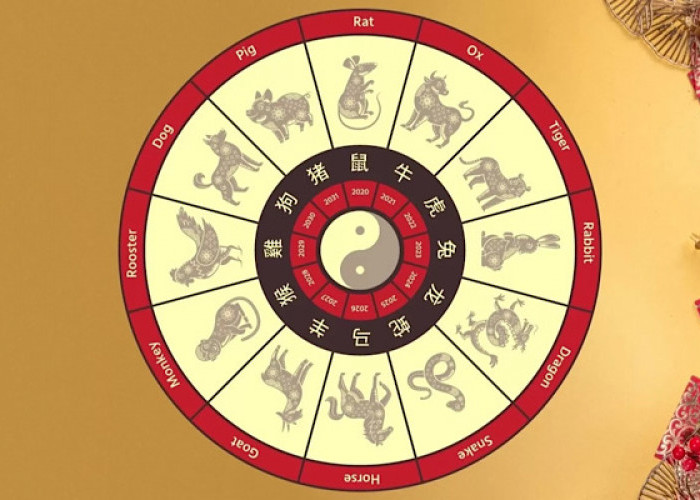 Ramalan Shio Hari Ini: Hati-hati! Shio Ular dan Ayam Rentan Salah Paham, Gunakan Warna Ini untuk Menangkalnya