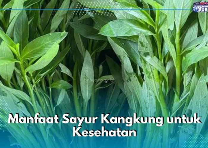 Sayur Kangkung Baik untuk Kesehatan Mata, Ini Manfaat Lainnya yang Jarang Diketahui