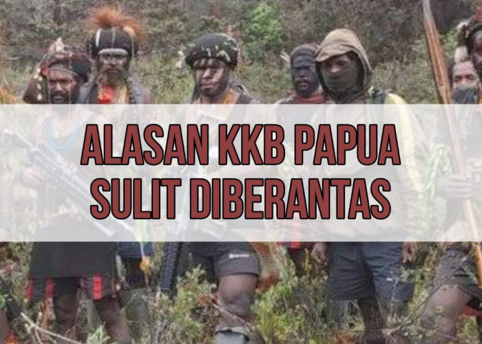 Ternyata Ini yang Bikin KKB Papua Sulit Diberantas, Ada yang Melindungi!