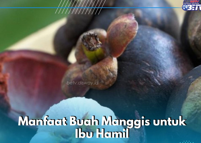 Buah Manggis Aman Dikonsumsi Ibu Hamil, Cek Manfaat di Sini! Bisa Jadi Obat Sembelit