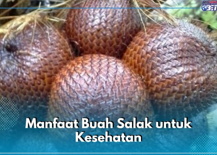 8 Manfaat Buah Salak Ini Masih Jarang Diketahui, Ampuh Mencegah Sembelit hingga Mencerahkan Kulit