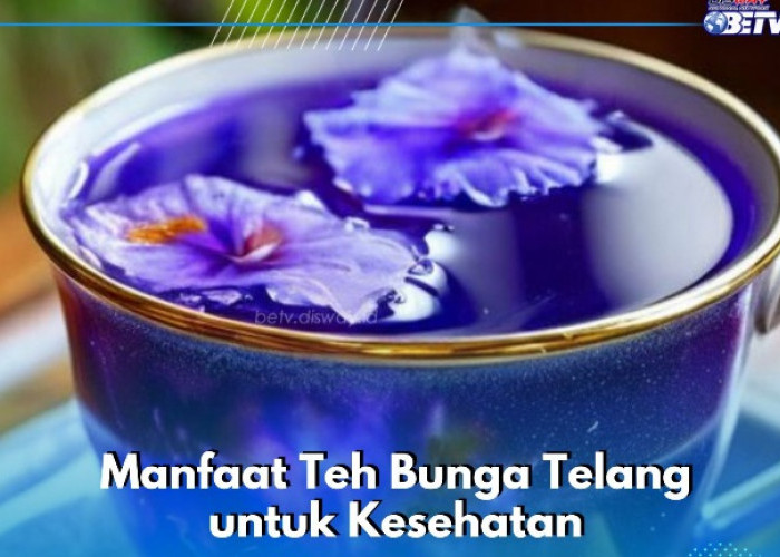 Baik untuk Pencernaan, Cukup Konsumsi Teh Bunga Telang Ini! Cek Manfaat di Sini