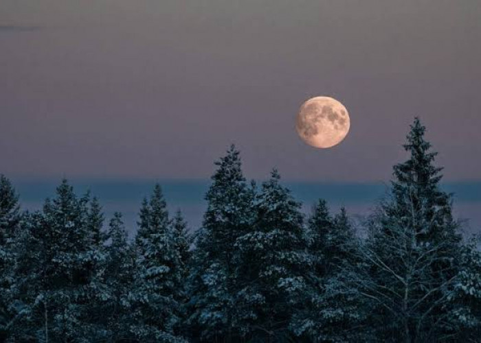 Fenomena Snow Moon 2026: Bulan Purnama Februari, Waktu & Cara Melihatnya