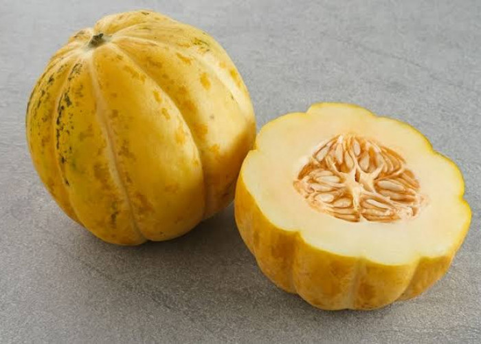 Tinggi Kandungan Air, Mampu Menghidrasi Tubuh Secara Alami, Inilah 10 Manfaatnya untuk Kesehatan