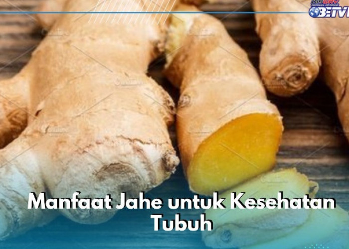 Tidak Hanya Mencegah Penuaan Dini, Ini Manfaat Konsumsi Jahe bagi Tubuh