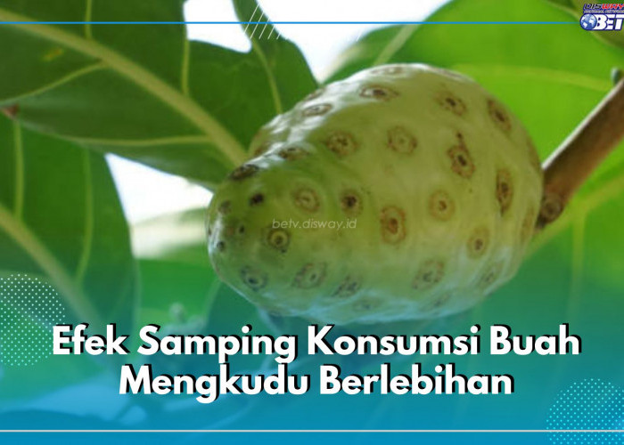 6 Efek Samping Konsumsi Buah Mengkudu Berlebihan untuk Tubuh, Perhatian Asupannya!