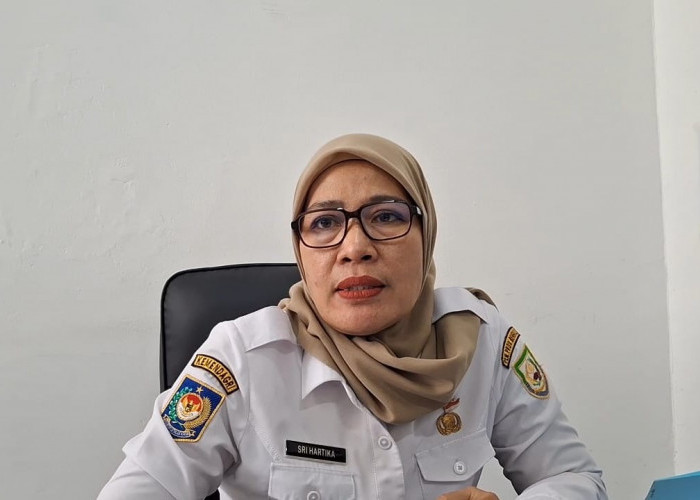 24 PPPK Paruh Waktu Pemprov Bengkulu Mengundurkan Diri, Evaluasi Kinerja Digelar September