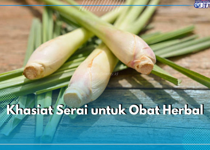 6 Khasiat Serai untuk Obat Herbal yang Sayang Dilewatkan, Salah Satunya Bisa Atasi Hipertensi