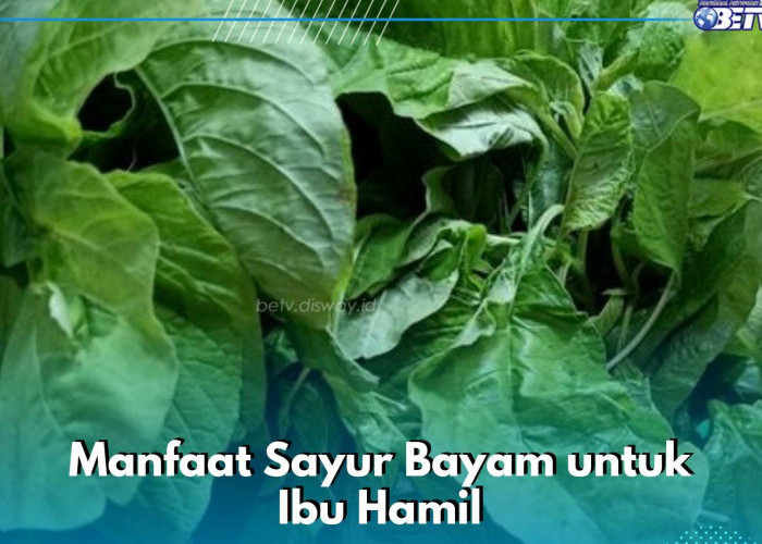 Sederet Manfaat Sayur Bayam untuk Ibu Hamil, Ampuh Menurunkan Tekanan Darah