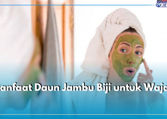 Ampuh Samarkan Flek HItam, Cek 5 Manfaat Lain Daun Jambu Biji untuk Wajah