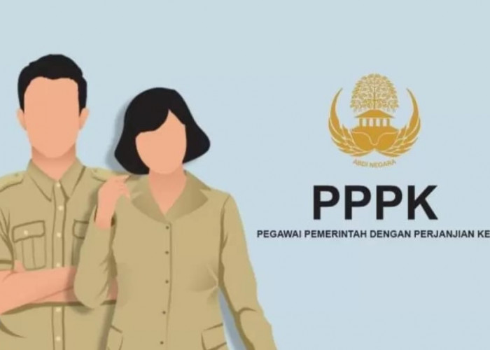 Final! 3.397 Pelamar PPPK Gelombang I Pemprov Bengkulu Memenuhi Syarat