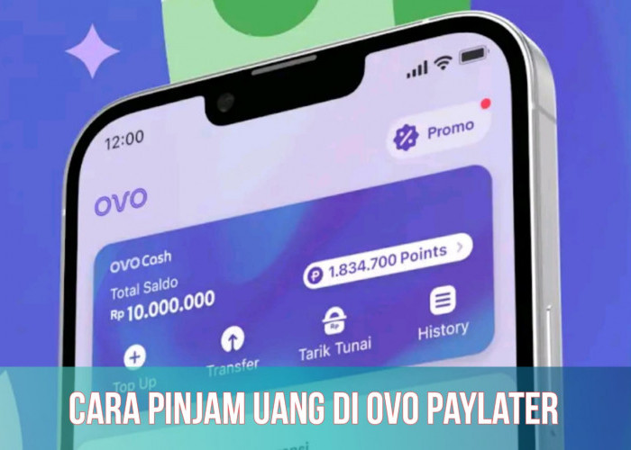 Gampang Banget! Cara Pinjam Uang di OVO PayLater hingga Rp10.000.000, Cek Syaratnya 