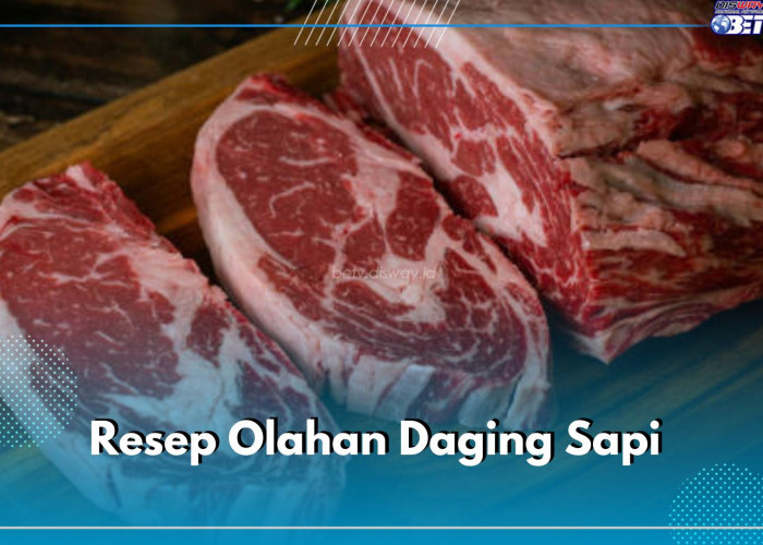 Mari Coba! Resep Olahan Daging Sapi Simple dan Mudah untuk Dibuat, Mulai dari Oseng Sampai Rendang