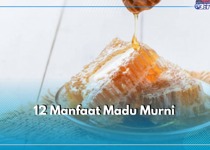 12 Manfaat Madu Murni, Bagus Meningkatkan Sistem Kekebalan Tubuh hingga Alergi