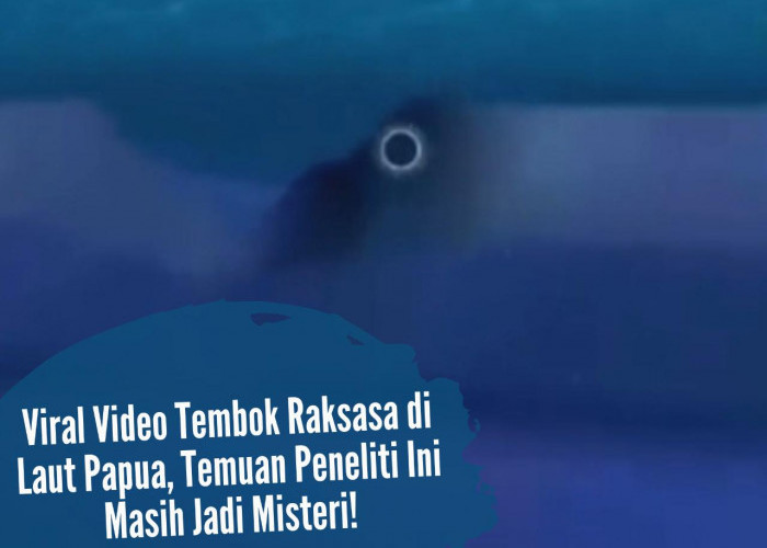 Viral Video Tembok Raksasa di Laut Papua, Temuan Peneliti Ini Masih Jadi Misteri!