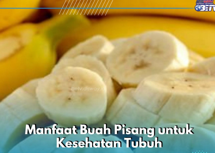 Buah Pisang Dipercaya Dapat Mengurangi Risiko Penyakit Ginjal, Cek Manfaatnya di Sini