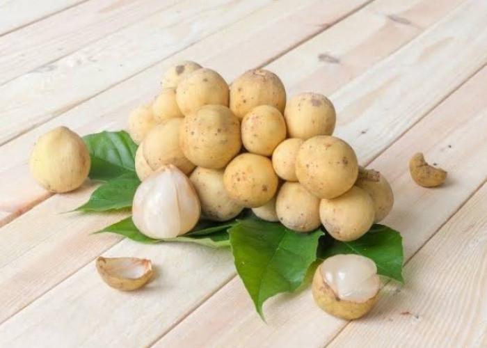 Konsumsi Buah Duku Bagus untuk Atasi Malaria, Cek Manfaatnya Disini!