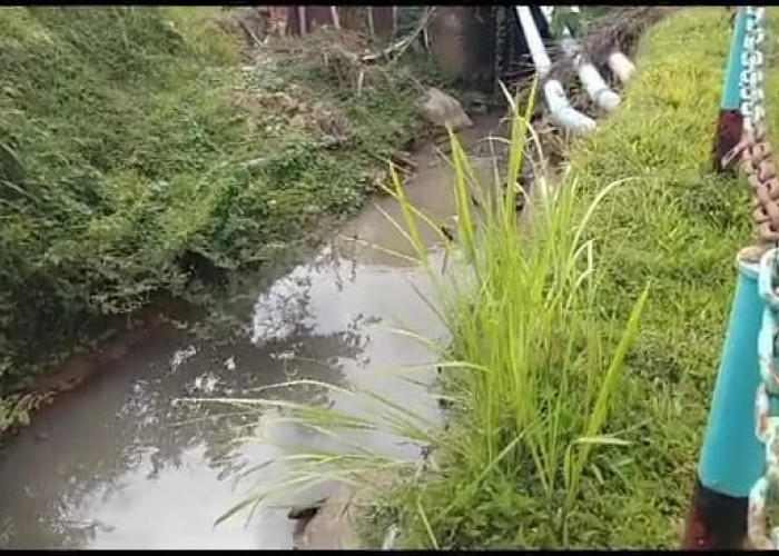 Diduga Limbah Sawit PT AIP Cemari Sungai, DPRD Akan Tinjau ke Lokasi