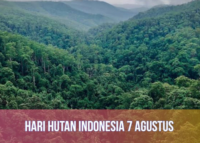 Peringatan Setiap Tanggal 7 Agustus: Ini Sejarah, Tujuan, dan Tema Hari Hutan Indonesia