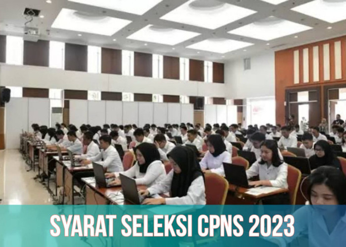 Seleksi CPNS 2023, Peluang Lulusan SMA dan S1 Semua Jurusan, Cek Syaratnya