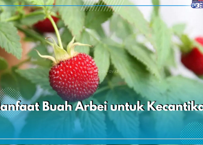 Bukan Sembarang Buah Liar, Ini 6 Manfaat yang Ditawarkan Buah Arbei untuk Kecantikan