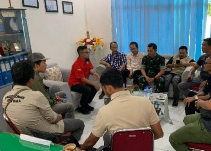 Ini Kata Manager PLN ULP Tais Terkait Penebangan Pohon Sawit Tanpa Izin