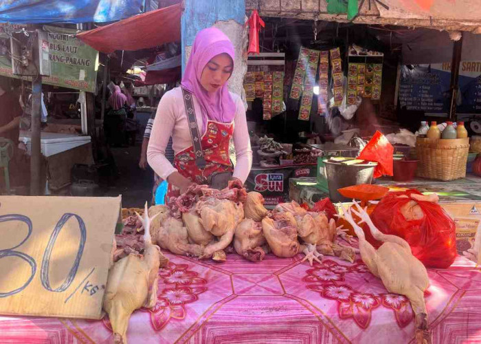 Libur Sekolah Picu Penurunan Harga Bapok di Pasar Panorama, Daging Ayam Rp30 Ribu per Kg