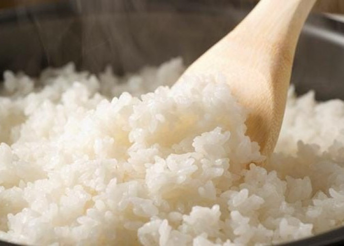 Siap-siap Dapat Bansos Rice Cooker Gratis, Cair November kepada Penerima dengan Syarat Berikut Ini, Cek Segera