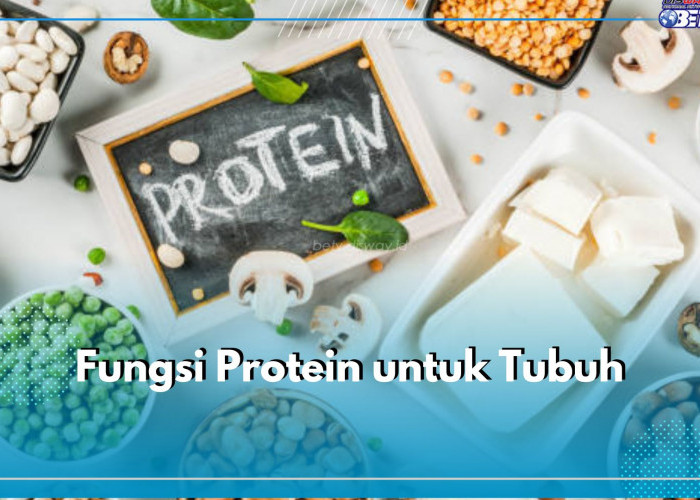  5 Fungsi Penting Protein untuk Tubuh, Ampuh Jaga Kesehatan Tulang