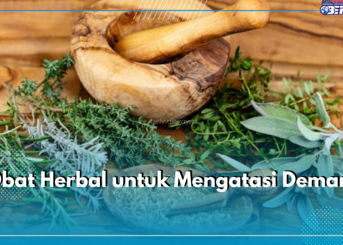 Ingin Atasi Demam dengan Alami? 6 Pilihan Herbal Ini Bisa Bantu, Cek Apa Saja!