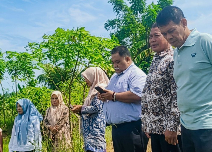 Bupati Bengkulu Selatan Gratiskan Pinjam Alsintan, Targetkan Tak Ada Lagi Lahan Sawah Terbengkalai