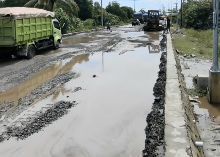 Pelindo Regional II Bengkulu Sembunyi dari Tanggung Jawab Kerusakan Jalan Pelabuhan