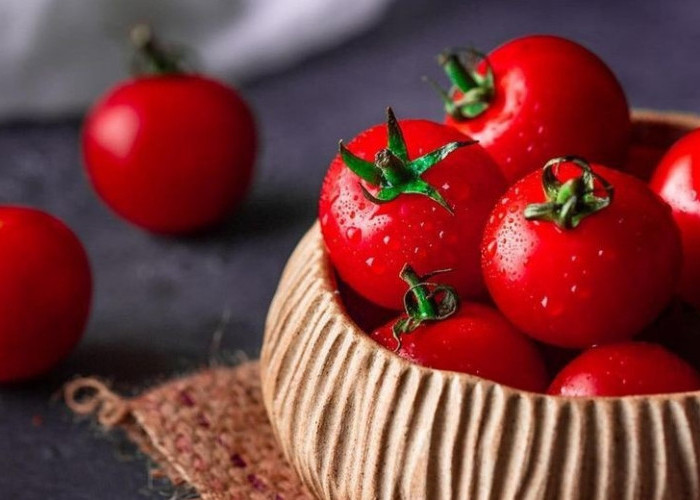 Kaya akan Nutrisi, Ini 10 Manfaat Tomat bagi Kesehatan, Mulailah untuk Konsumsi Setiap Hari