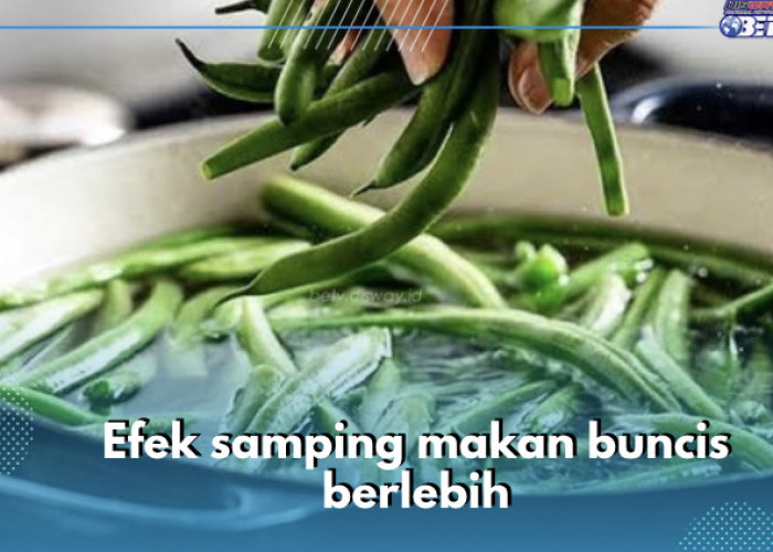 Ini 4 Efek Samping Makan Buncis Berlebih, Nomor 1 Sangat Bahaya, Cek Sekarang