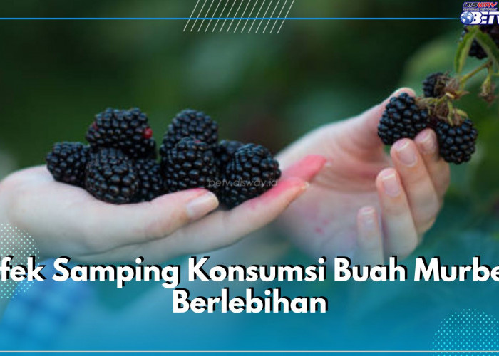 Waspadai 5 Efek Samping Konsumsi Buah Murbei Berlebihan, Bisa Pengaruhi Fungsi Hati