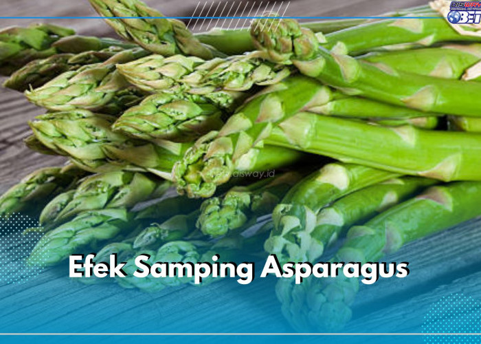 Tidak Selalu Baik untuk Kesehatan, Asparagus Miliki 7 Efek Samping Jika Dikonsumsi Berlebihan