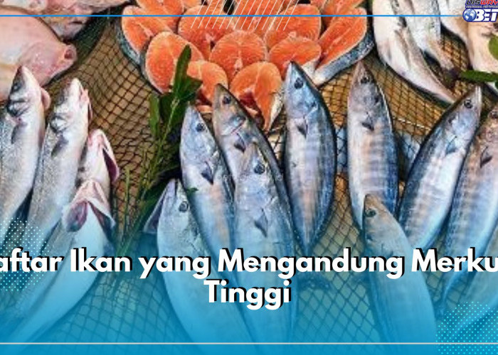 7 Daftar Ikan yang Mengandung Merkuri Tinggi, Jauhi dari Ibu Hamil dan Si Kecil