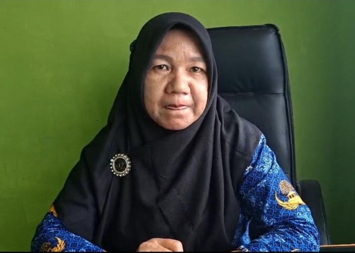 Dinkes Seluma Catat 5 Kasus DBD dalam 6 Bulan Terakhir, Terbanyak di Pajar Bulan