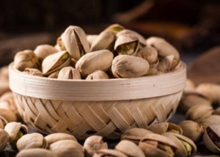 Waspada 7 Efek Samping Berbahaya dari Mengonsumsi Kacang Pistachio Secara Berlebihan, Penasaran?