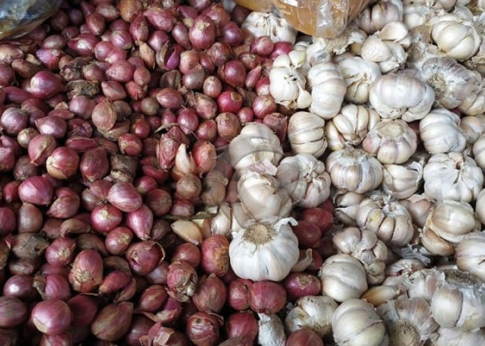 Jelang Nataru, Harga Bawang Merah dan Bawang Putih di Seluma Capai Rp40 Ribu per Kilogram