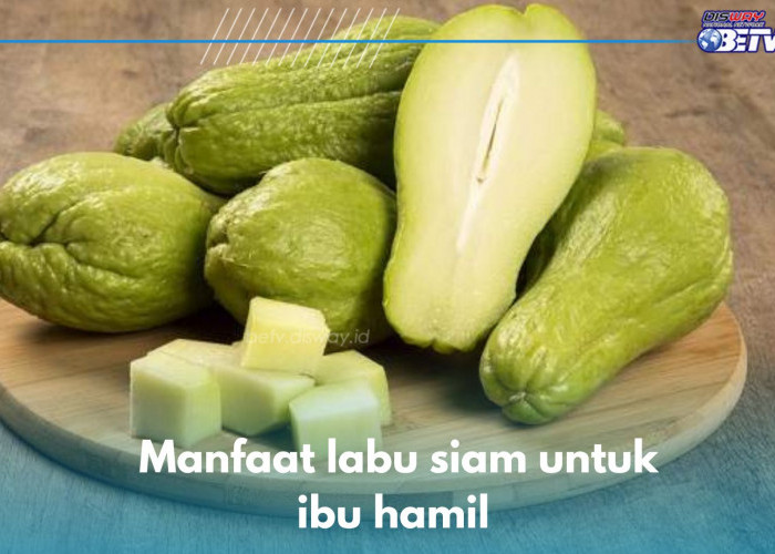 6 Manfaat Labu Siam bagi Bumil, Nomor 4 Bantu Kembangkan Otak Janin