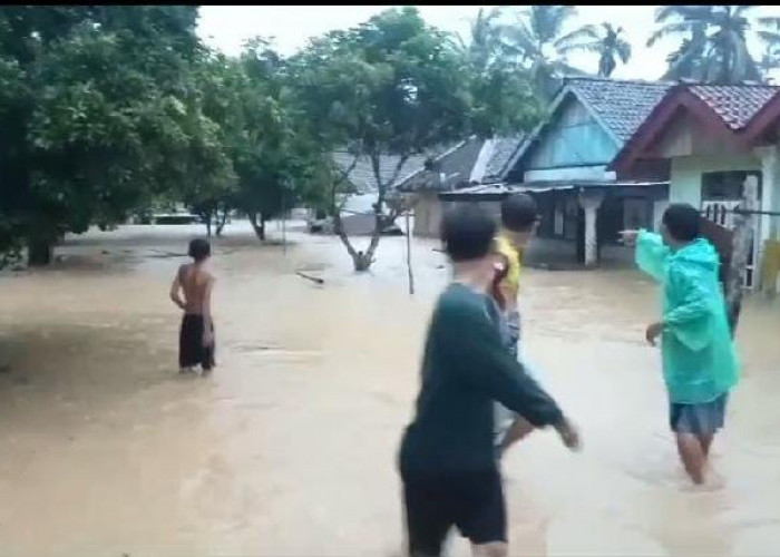 Hujan Deras, 4 Kecamatan di Kabupaten Kaur Terdampak Banjir