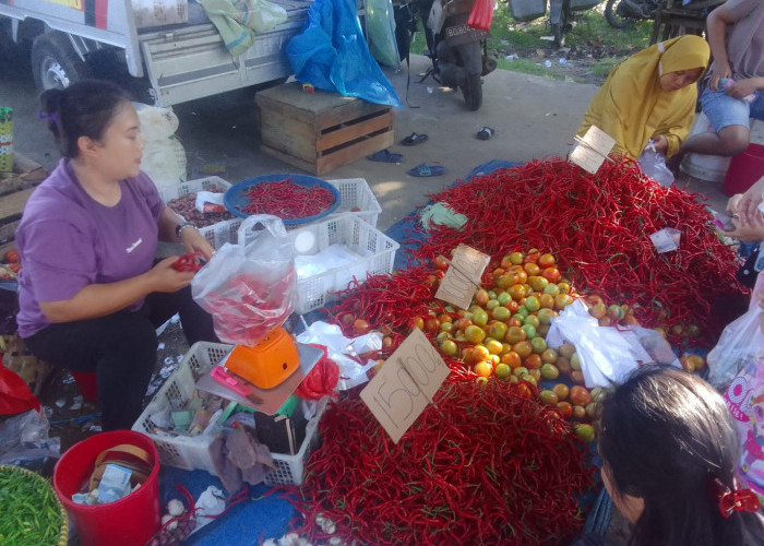 Jelang Tahun Baru, Harga Cabe Merah di Seluma Capai Rp58 Ribu Perkilogram 