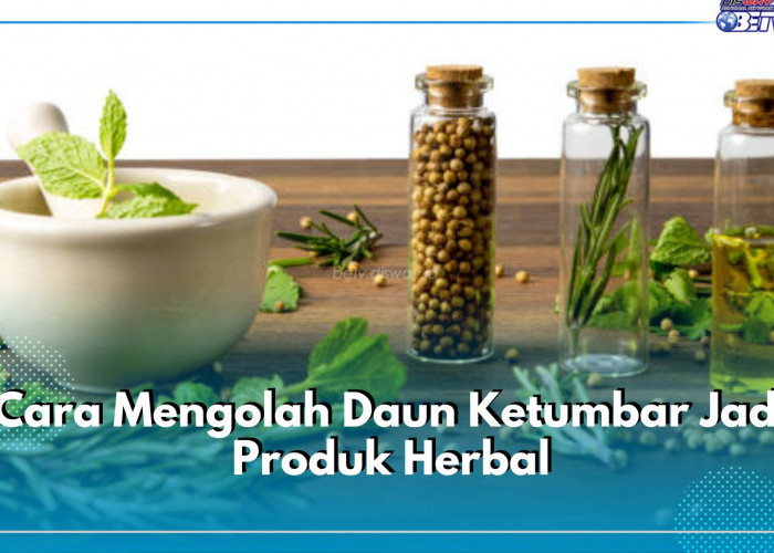 5 Cara Mengolah Daun Ketumbar Jadi Produk Herbal, Ada Teh hingga Minyak Essensial!