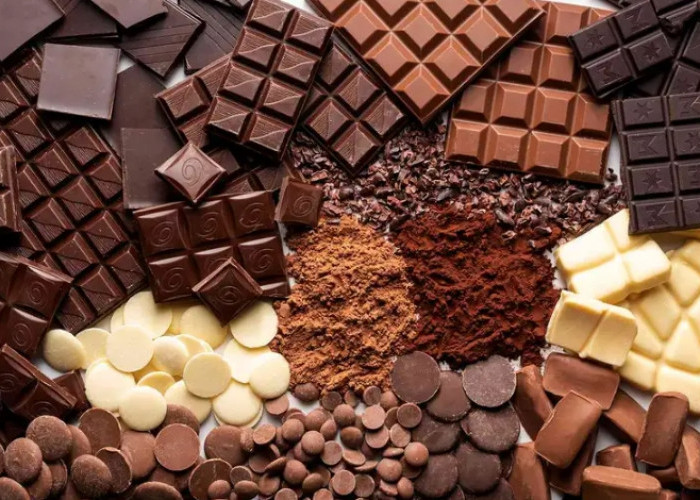 Suka Makan Cokelat? Yuk, Kenali Fakta Menariknya Disini!