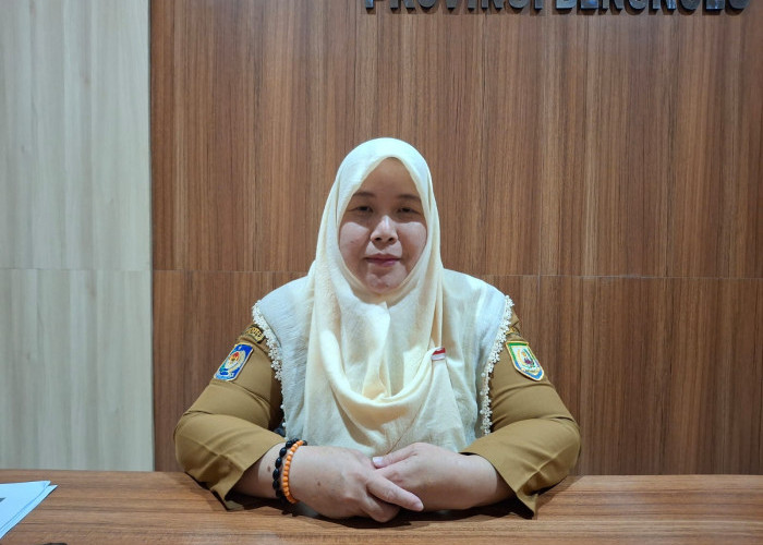 Program Sadesahe Penanaman Jagung Bengkulu Berlanjut di 2026, Targetkan 95 Ribu Ton