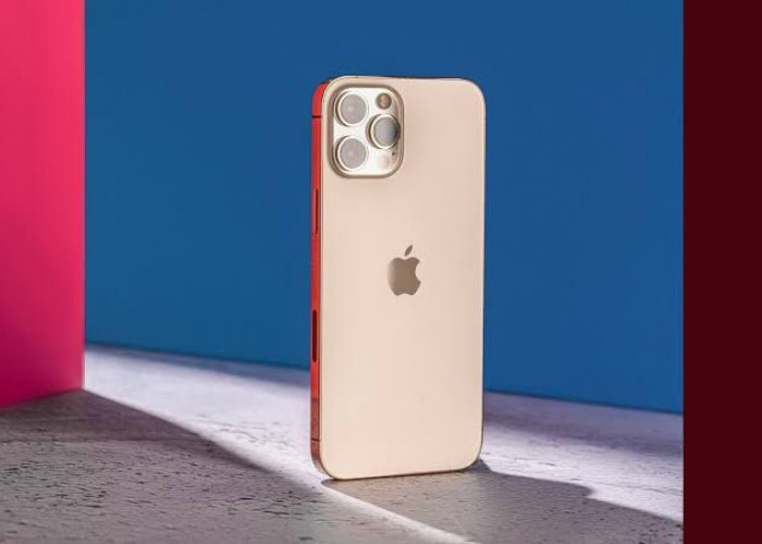 Cek Fitur, Spesifikasi, dan Harga Terbaru iPhone 13 Pro Max Hari Ini Minggu 18 Februari 2024