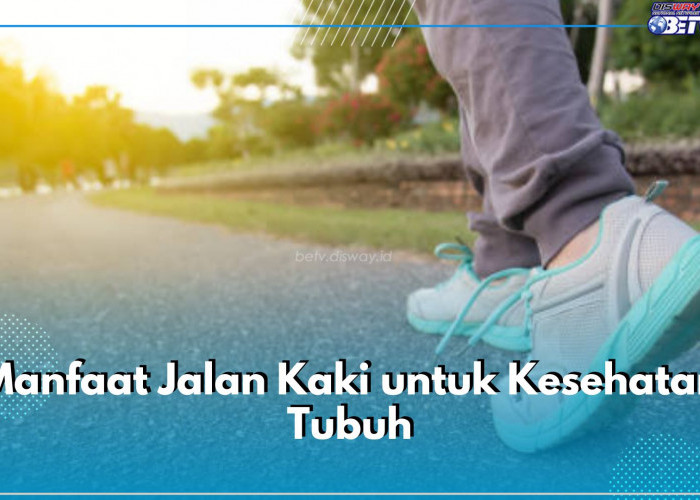 Wajib Tahu! Ini 7 Manfaat Jalan Kaki untuk Kesehatan, Bisa Bantu Jaga Berat Badan