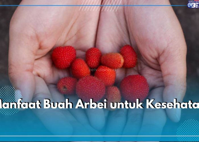 Dikenal sebagai Buah Liar, Ini Sederet Manfaat Buah Arbei untuk Kesehatan yang Perlu Kamu Ketahui