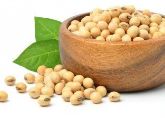 Memicu Berat Badan Naik hingga Kekurangan Mineral, Ini Efek Samping Konsumsi Kacang Kedelai Berlebihan!